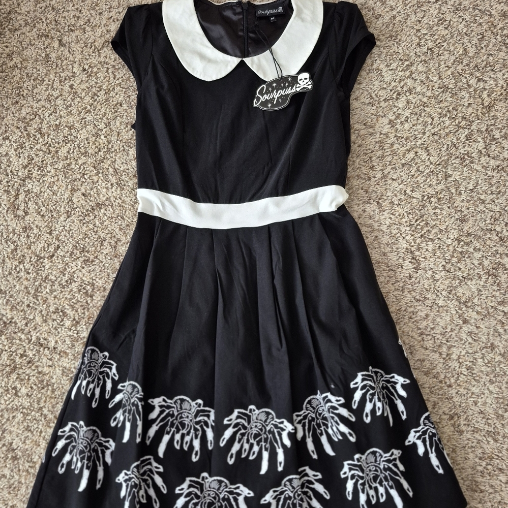 Black and White A-Line Dress with Peter Pan Collar